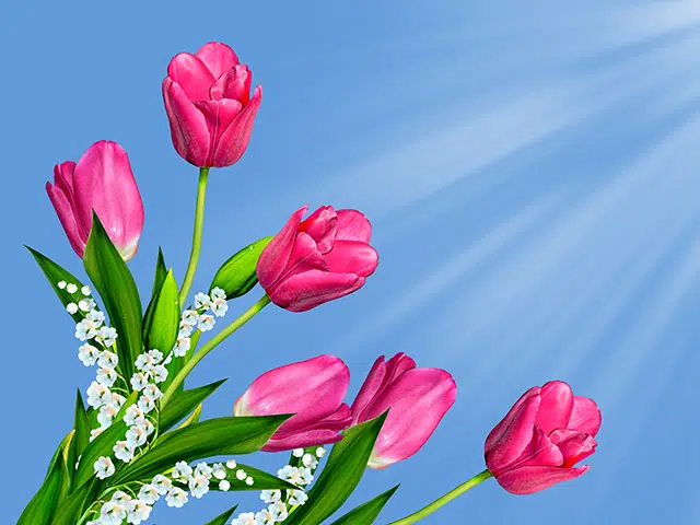 special-offers image